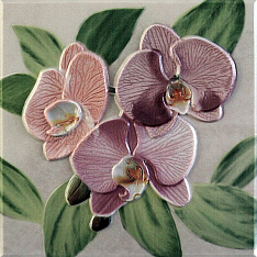 Orquideas Decor Placa Rosa 20x20