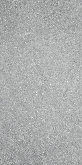 SG207900R Дайсен светло-серый обрезной 30х60