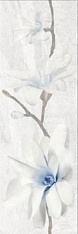 Stone Inserto Flowers Grey 25x75