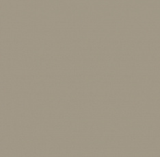 Colibri Glossy Tortora 12,5x12,5