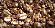 Monocolor Decor Coffee Beans 01 10х20