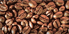 Monocolor Decor Coffee Beans 03 10х20