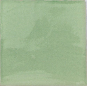 Provenza Kiwi 10х10