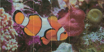 Agata Sunset D?cor 2 Aquarium (средняя рыбка) 25х50
