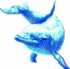 Большой Дельфин 1,714х1,692
