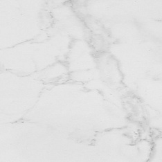 Marmol Carrara Blanco Brillo 59,6x59,6