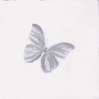 Provenza Decor Butterfly Gris Blanco 10х10