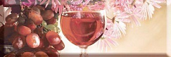 Monocolor Decor Wine 03 B 10х30