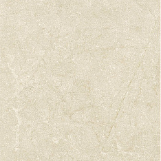 Beige Experience Wall Crema Imperiale BCD Ant.SQ. 60х60
