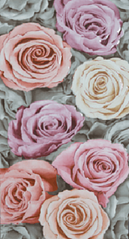 Spring Garden Jet Mixto 25х50 Spring Garden Jet Mixto 25х50