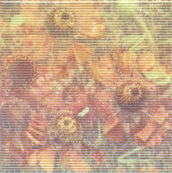 5155/A100/NT Весеннее шоу Герберы 20*20