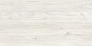 Sherwood 50979 Betulla 30*60 СП017