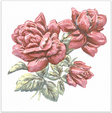 TFA012 Оранжерея Розы 9,9х9,9