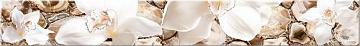 Agat Beige Orchid 6.2*50.5