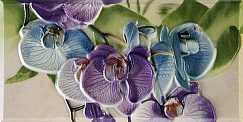 Orquideas Cenefa-1 Malva 10x20