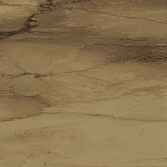 Venus Visone Lapp. Rett. 60x60