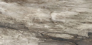 Petrified Tree Grey Bark Nat Ret 944D8R 45x90