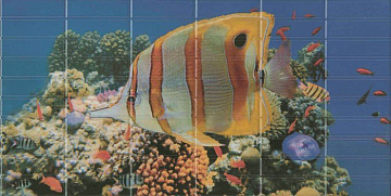 Agata Sunset D?cor 1 Aquarium (большая рыбка) 25х50