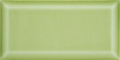Biselado Salvia BX 10x20