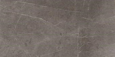 Evolution Marble Grey Rt MH18 30х60