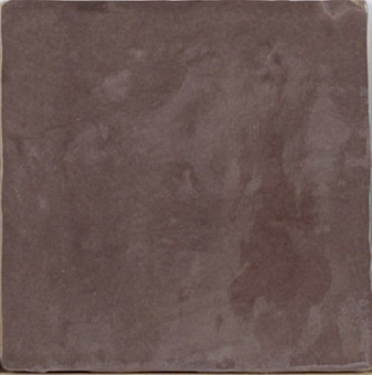 Provenza Marron 10х10