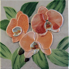 Orquideas Decor Placa Naranja 20x20