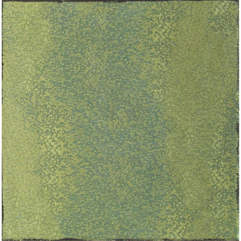 Veneto Verde PC 25x25