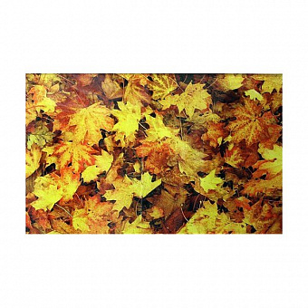 Natura Leafs Glass 25*40