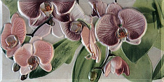 Orquideas Cenefa-3 Rosa 10x20