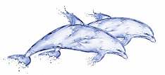 DeepBlue (DB2G051D) Декор Дельфин 20x44
