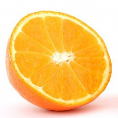 Толедо Апельсин 2  20х20