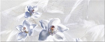 Agat Blue Orchid 20.1*50.5