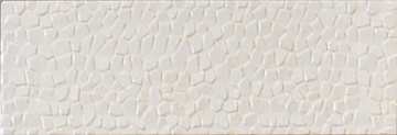 Monocolor Decor Cromo Blanco 10х30