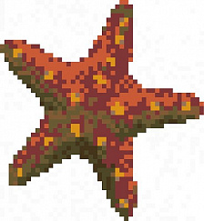 Морская звезда 0,496х0,560