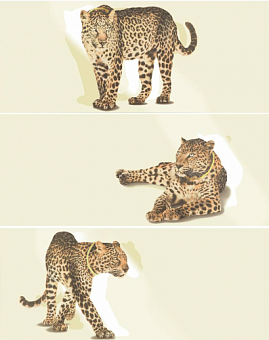 Luxury Leopard Crem (комп. из 3-х шт) 25х60