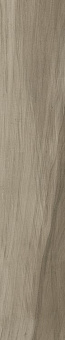 Niagara Taupe 23,3x120