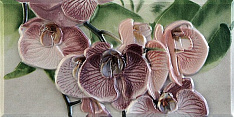 Orquideas Cenefa-1 Rosa 10x20