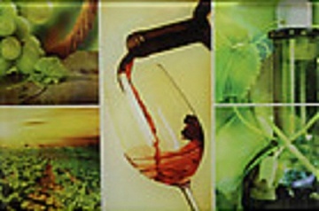 Vineyard Mix 19,7*29,6