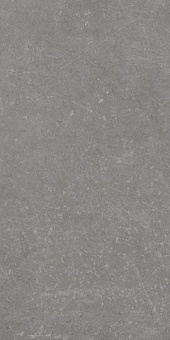 Stonehenge Floor Grey R 60х120