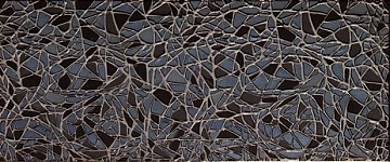 Lita Decor Negro Plata 25x60