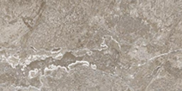 СП291  Dynasty Grey 20*40