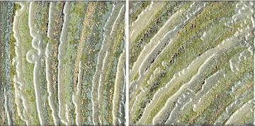 Padua Conjunto Verde 2PZ (комп. из 2 шт) 25x25