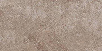 СП273  Dynasty Walnut 20*40