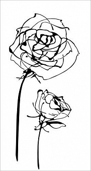 Blancos Decor Roses Blanco 30х60
