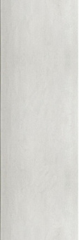 Porcellana Grey Glossy Rev. 20х60