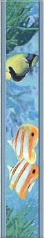 HGD\A48\880 Маронти 30х5,7
