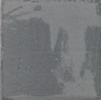 Provenza Gris 10х10
