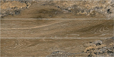 Fossil Marron R 20x120