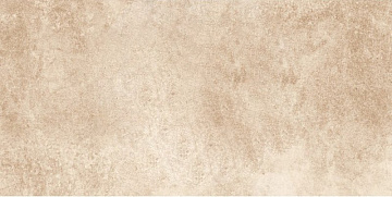 City Beige PT12877 28х56