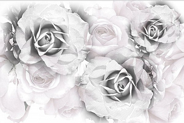 Conjunto Infinity Roses 2x20x60